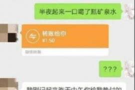 天镇天镇的要账公司在催收过程中的策略和技巧有哪些？